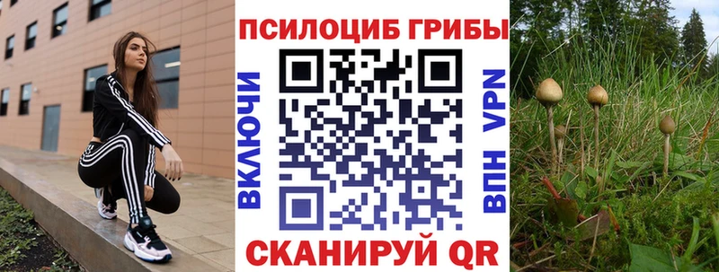 дарнет шоп  маркетплейс клад  Галлюциногенные грибы мухоморы  Калтан 
