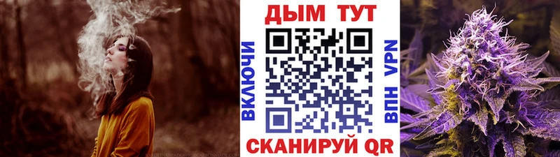 Марихуана план  Калтан 